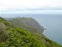 Kapiti Island day trip