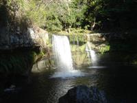 Waitotara Valley Tramp (Trains hut)