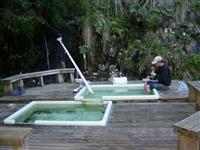 Napier Hot Pools trip